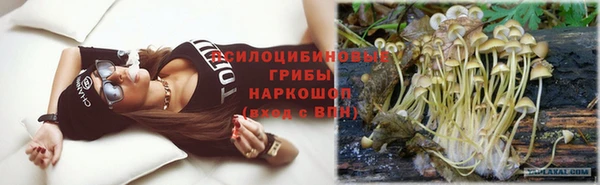 spice Абинск