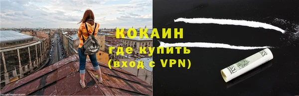 стаф Алексин