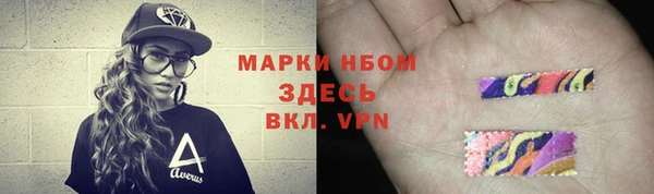 ГАЛЛЮЦИНОГЕННЫЕ ГРИБЫ Абаза