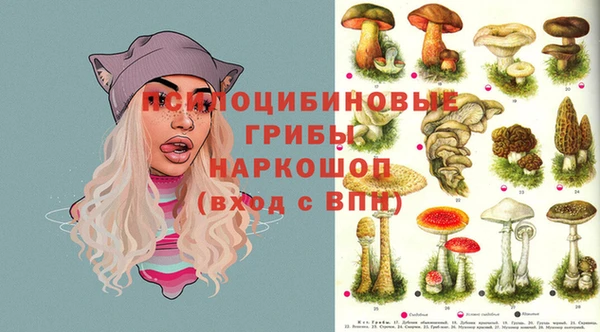 spice Абинск