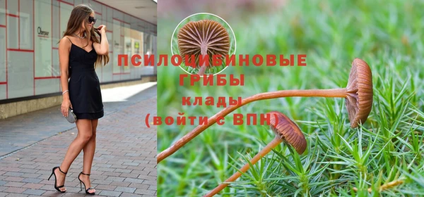 ГАЛЛЮЦИНОГЕННЫЕ ГРИБЫ Абаза
