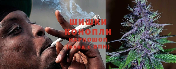 ГАЛЛЮЦИНОГЕННЫЕ ГРИБЫ Абаза