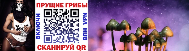 Псилоцибиновые грибы прущие грибы  mega tor  Углегорск 